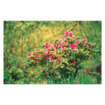 Azalea blooming stationery