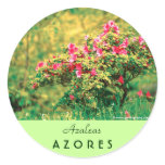 Azalea blooming round stickers