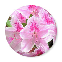 Azalea Blooms Magnet