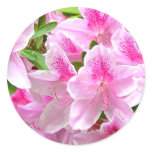 Azalea Blooms Sticker