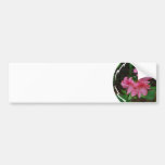 Azalea Bush Bumper Stickers