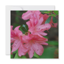 Azalea Bush Invitations