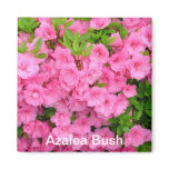 Azalea Bush magnets