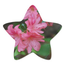 Azalea Bush Stickers
