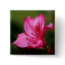 Azalea Buttons