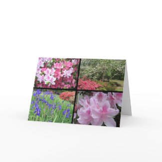 azalea dogwood iris collage note card card