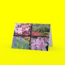 azalea dogwood iris collage note card by ohmeakanancy azalea dogwood iris collage note card