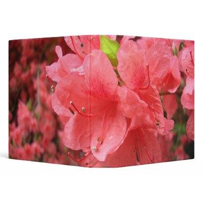 Azalea Field - Binder by bontondesigns