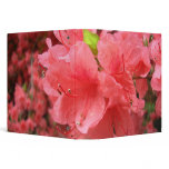 Azalea Field - Binder