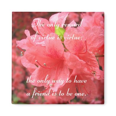 Azalea Field: Friendship - Magnet #1 by bontondesigns
