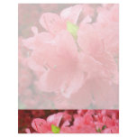 Azalea Field - Letterhead