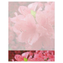 Azalea Field - Letterhead