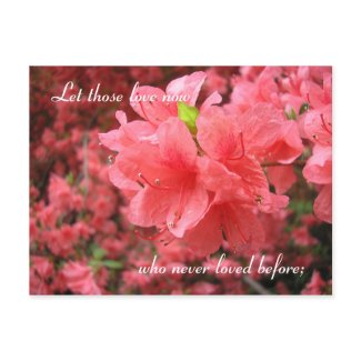Azalea Field: Love - Postcard postcard