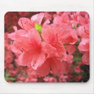 Azalea Field - Mousepad mousepad
