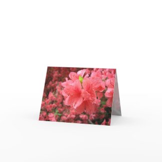 Azalea Field - Note Card card