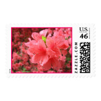 Azalea Field - Postage #1 postage by bontondesigns Azalea Field - Postage #1 postage