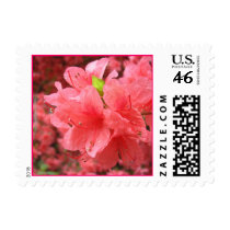 Azalea Field - Postage #2