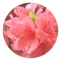 Azalea Field - Sticker