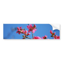 Azalea flower and meaning bumper stickers