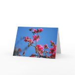 Azalea flower and meaning card