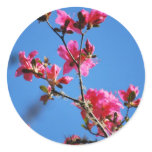 Azalea flower and meaning round stickers
