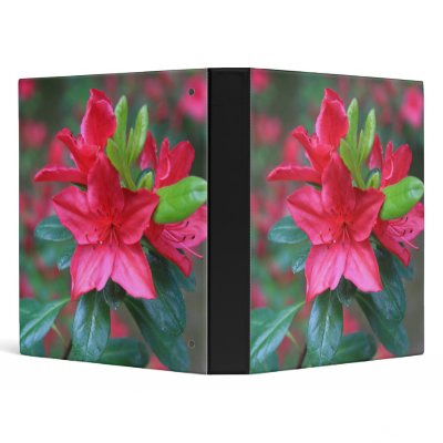 Azalea Flower Binder by MichaelFelix
