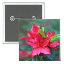 Azalea Flower buttons
