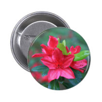 Azalea Flower buttons
