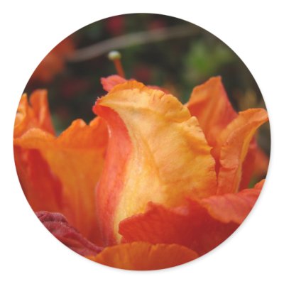 AZALEA FLOWER STICKERS Flower Sticker Sheets by Basleeartprintgifts