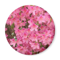 AZALEA FLOWERS 27 Pink Azaleas Cards Gifts Mugs Refrigerator Magnets