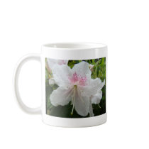 AZALEA FLOWERS 2 White Azaleas Cards Gifts Mugs by Basleeartprintgifts AZALEA FLOWERS 2 White Azaleas Cards Gifts Mugs