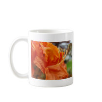 AZALEA FLOWERS 6 Orange Azaleas Cards Gifts Mugs by Basleeartprintgifts AZALEA FLOWERS 6 Orange Azaleas Cards Gifts Mugs