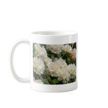 AZALEA FLOWERS 8 White Azaleas Cards Gifts Mugs by Basleeartprintgifts AZALEA FLOWERS 8 White Azaleas Cards Gifts Mugs