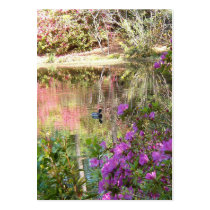 Azalea Flowers by Duck Pond Business Card Templates