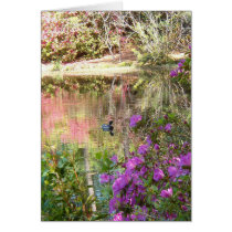 Azalea Flowers by Duck Pond Cards
