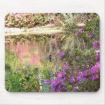 Azalea Flowers by Duck Pond