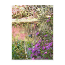 Azalea Flowers by Duck Pond Postcard