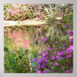 Azalea Flowers by Duck Pond Poster