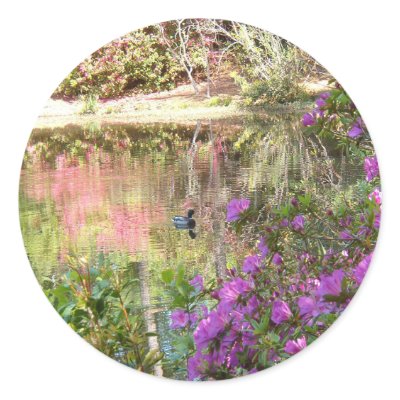 Azalea Flowers by Duck Pond Stickers by HappyDoggies