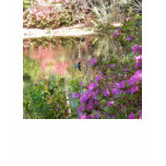 Azalea Flowers by Duck Pond t-shirts