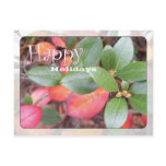 azalea, leaf, leaves, red, orange, green, happy,