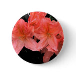 Azalea in Black Pins