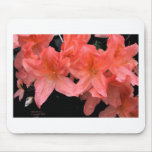 Azalea in Black Mouse Pad