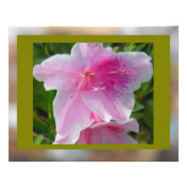Azalea in Pink Art Photo