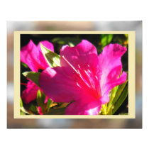 Azalea in Violet Art Photo