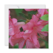 Azalea  Invitations