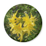 Azalea Refrigerator Magnets