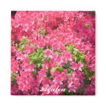 Azalea magnet