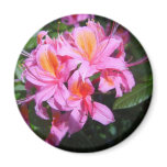 Azalea magnets