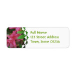 Azalea  Mailing Labels